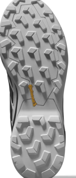 Adidas Terrex Skychaser GTX