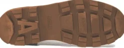 Aigle Tenere Canvas