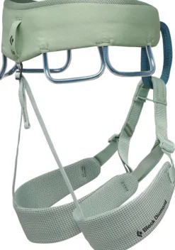 Black Diamond Momentum Harness Women