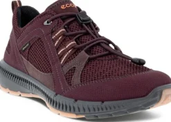 Ecco Terracruise II Women