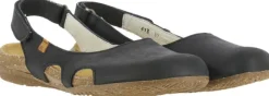 El Naturalista N413