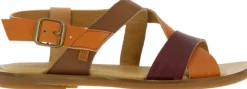 El Naturalista N5181