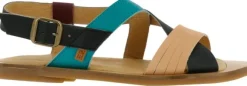 El Naturalista N5181