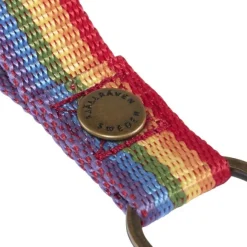 Fj&auml;llr&auml;ven Kanken Rainbow Key Ring