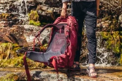 Gregory Kalmia 60 Plus