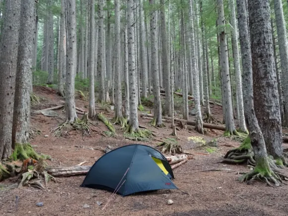 Hilleberg Rogen