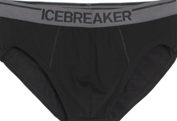 Icebreaker Anatomica Briefs