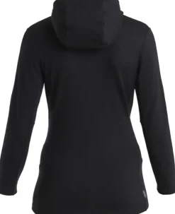 Icebreaker Merino 260 Quantum IV LS Zip Hoodie Women