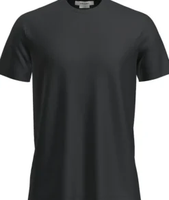 Icebreaker Tech Lite III SS Tee