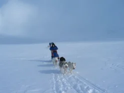 Kamik Alborg