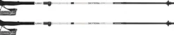 Leki Skytera FX Carbon SL