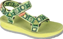 Lizard Raft Junior