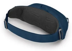 Osprey Daylite Waist
