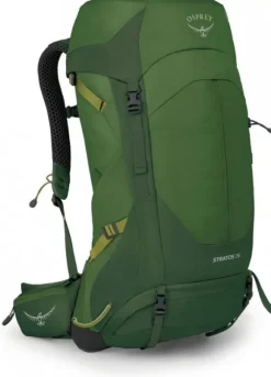 Osprey Stratos 36