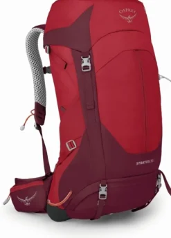 Osprey Stratos 36
