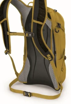 Osprey Syncro 12