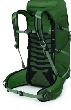 Osprey Talon 33