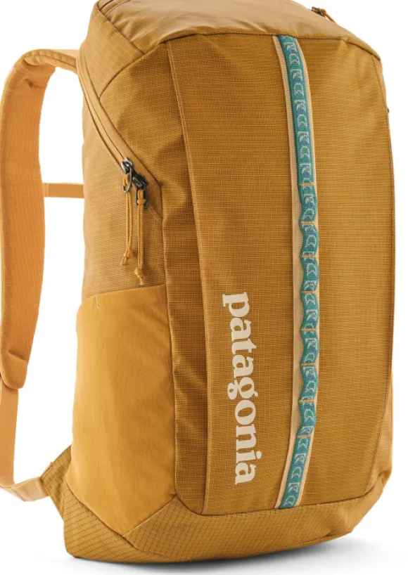 Patagonia Black Hole Pack 25L