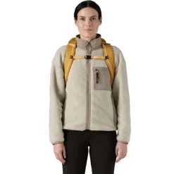 Patagonia Black Hole Pack 25L