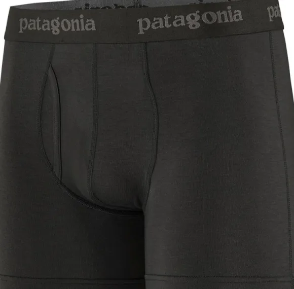 Patagonia Mens Essential Boxer Briefs