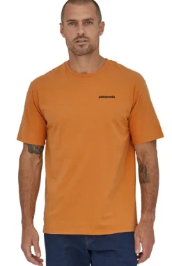 Patagonia Mens P6 Mission Organic T-Shirt