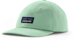 Patagonia P-6 Label Trad Cap
