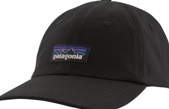 Patagonia P-6 Label Trad Cap