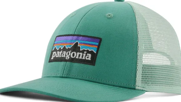 Patagonia P-6 Logo LoPro Trucker Hat
