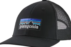 Patagonia P-6 Logo LoPro Trucker Hat