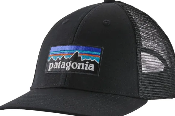 Patagonia P-6 Logo LoPro Trucker Hat