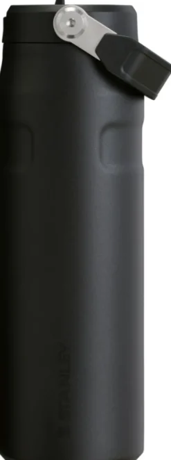Stanley Iceflow Bottle Flip Straw