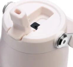 Stanley Iceflow Bottle Flip Straw